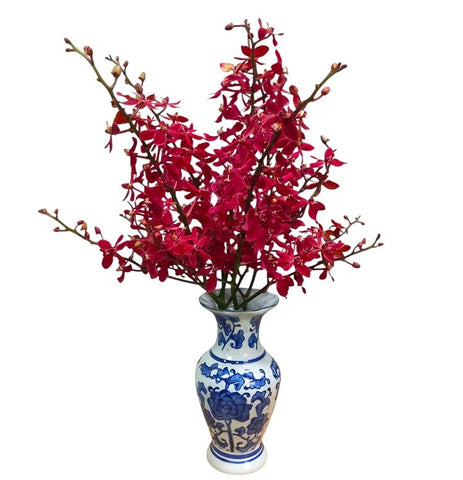 FreshCut Orchids