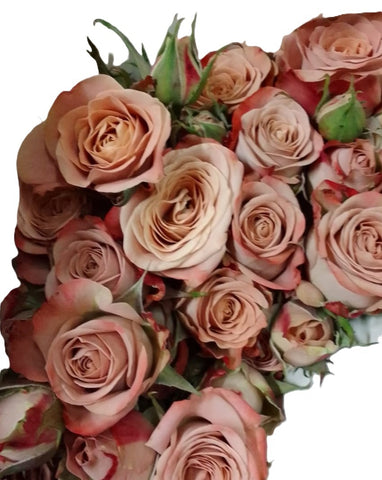 [Festive] FreshCut Rose Spray