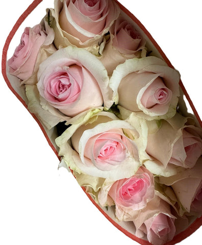 FreshCut Rose (Kenya / Vietnam)