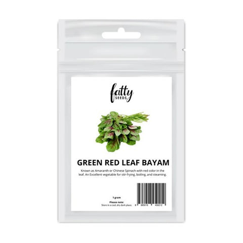 Fatty Seeds: Green Red Leaf Bayam