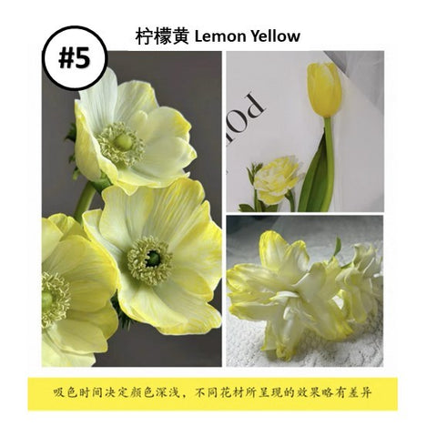 Liquid Dye for fresh flowers