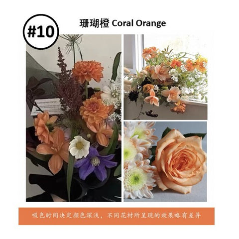 Liquid Dye for fresh flowers