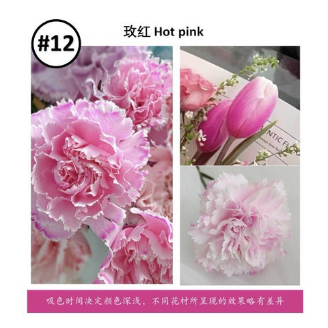 Liquid Dye for fresh flowers
