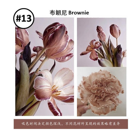 Liquid Dye for fresh flowers