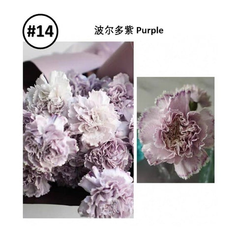 Liquid Dye for fresh flowers