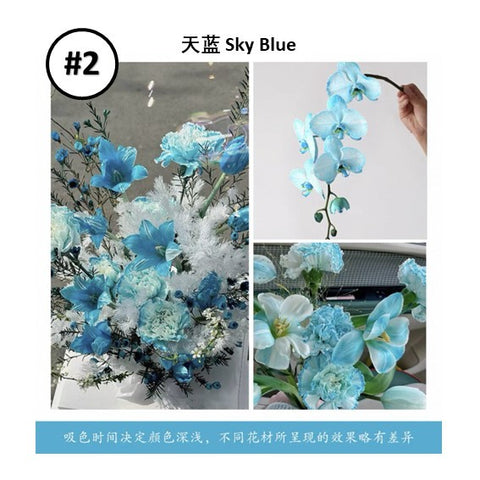 Liquid Dye for fresh flowers