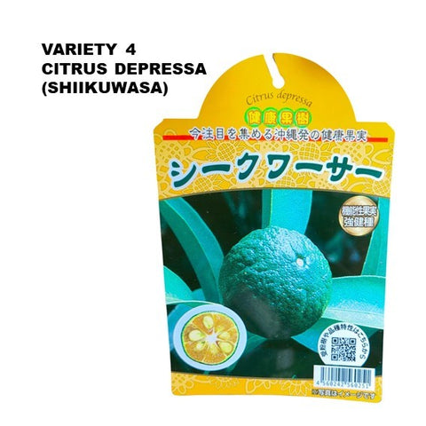 Lemon Tree - Citrus assorted (Japan)