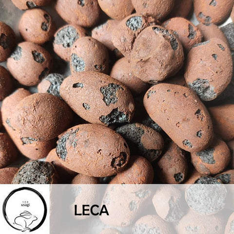 Leca (Usagi)