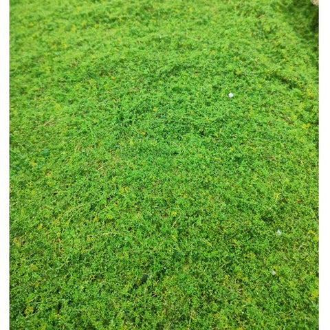 Artificial Moss Cloth 苔藓布