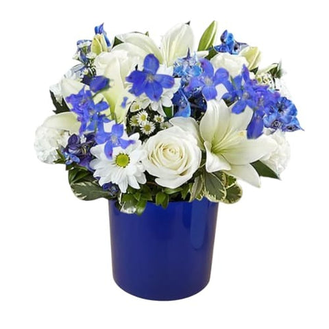 Decorative Plastic pot (without hole)