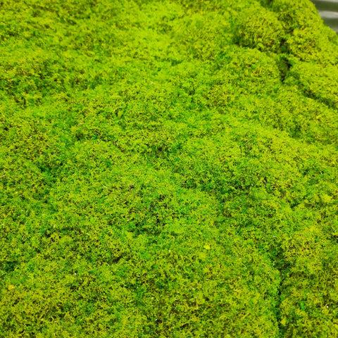 Artificial Moss Cloth 苔藓布