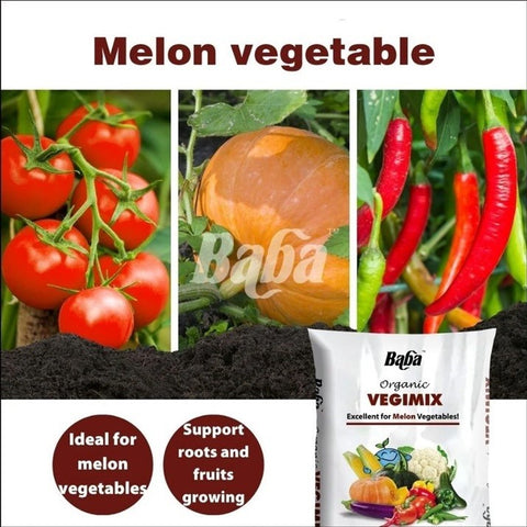 Organic VegiMix (Baba)
