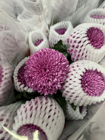 FreshCut Chrysanthemum Ping Pong