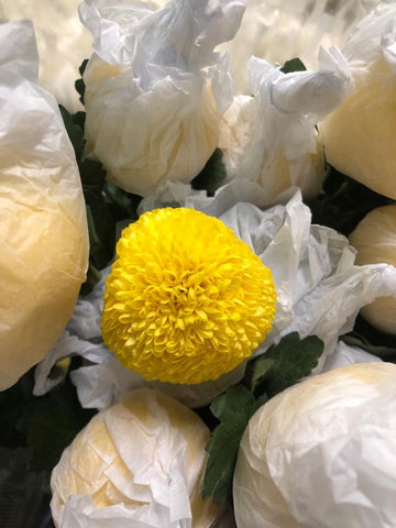 FreshCut Chrysanthemum Ping Pong