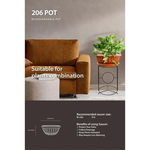 Shallow Pot Baba 206 (967)