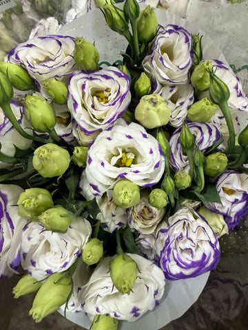 FreshCut Eustoma
