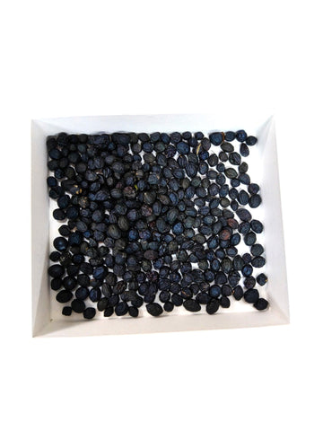 Seeds: Everfresh tree (Pithecellobium confertum)