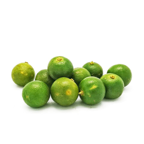 Calamansi Lime (Citrofortunella microcarpa)