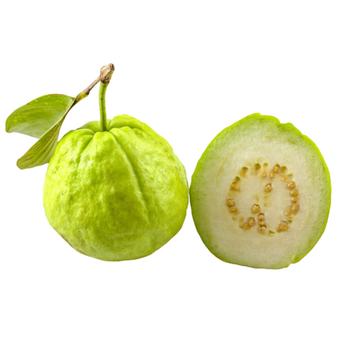 Guava (Psidium Guajava)