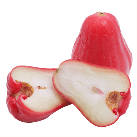 Wax Jambu - Grafted (Syzygium Samarangense)