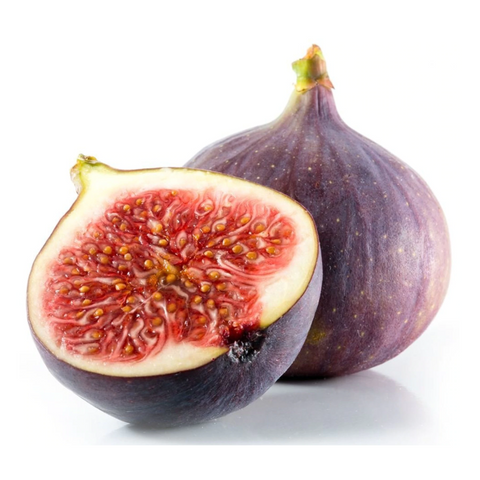 Fig (Ficus Carica)