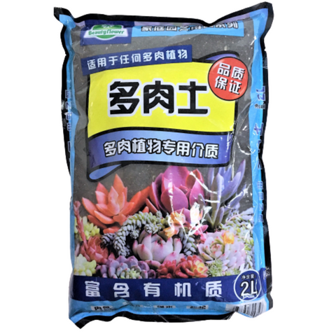 Succulent Soil 多肉植物 (Beauty Flower)
