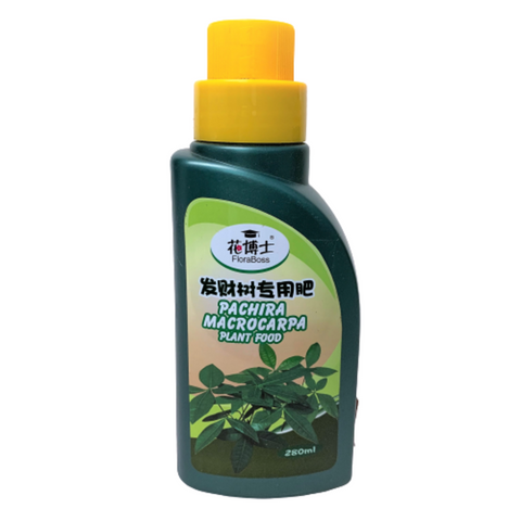 Pachira Macrocarpa Food (FloraBoss)