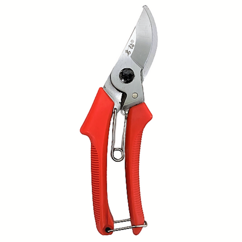 Pruning Scissors (Ming Zuan)