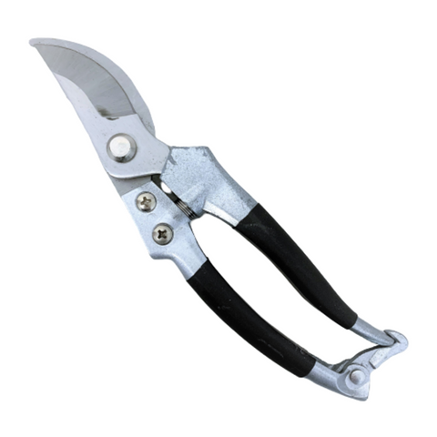 Pruning Shears (Qiang Fei)