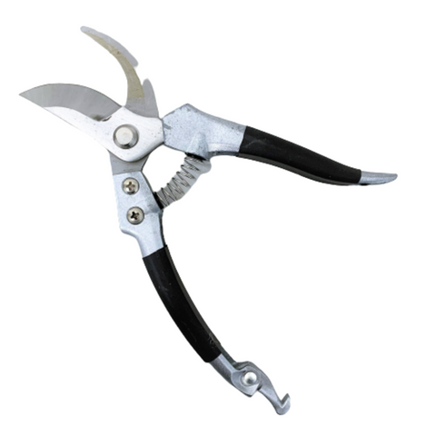 Pruning Shears (Qiang Fei)