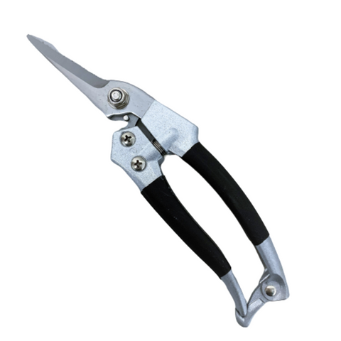 Pruning Shears (Qiang Fei)