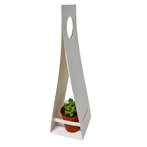 Garden Assorted Mini-Size Succulent