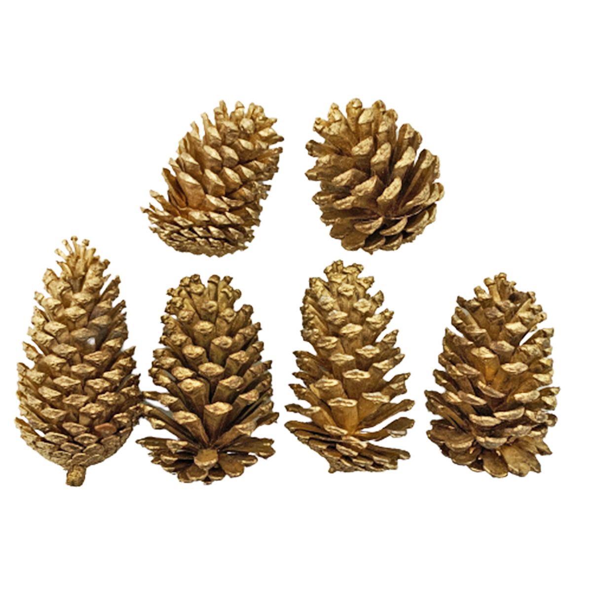 Decorative Christmas Gold Acorns (Pine cones) Candy Floriculture