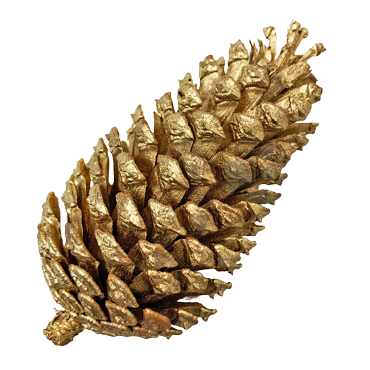 Decorative Christmas Gold Acorns (Pine cones) Candy Floriculture