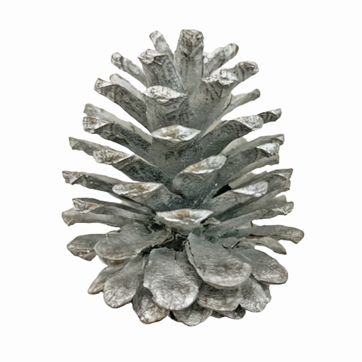 Decorative Christmas Silver Pinecone (Pack of 9) Candy Floriculture