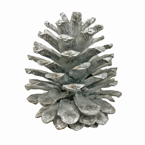 Decorative Christmas Silver Pinecone (Pack of 9) Candy Floriculture