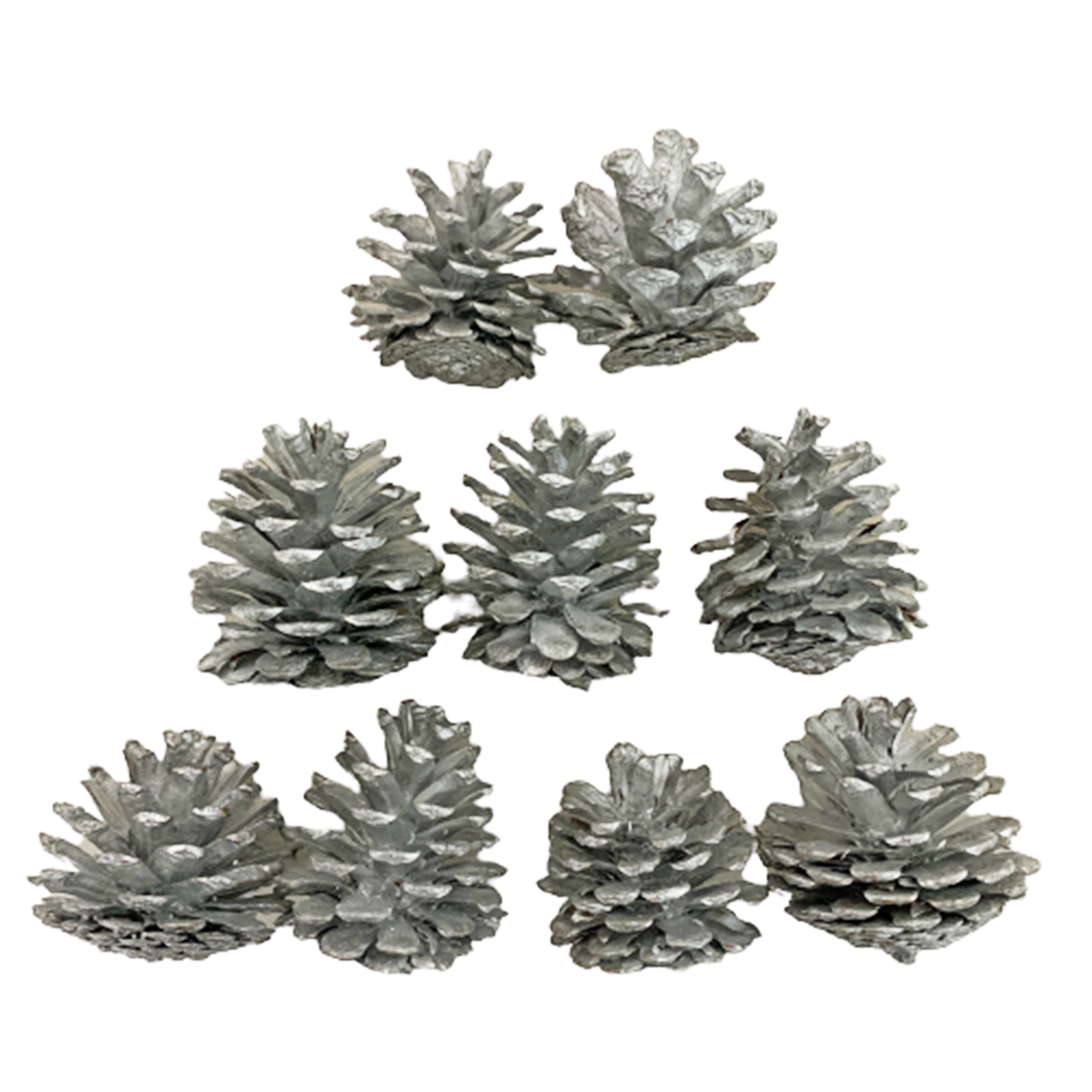 Decorative Christmas Silver Pinecone (Pack of 9) Candy Floriculture