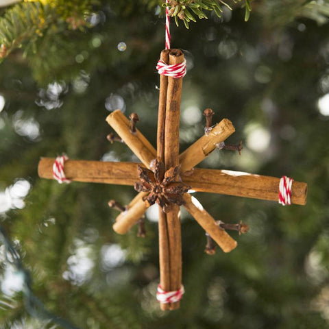 A Packet of Star Anise