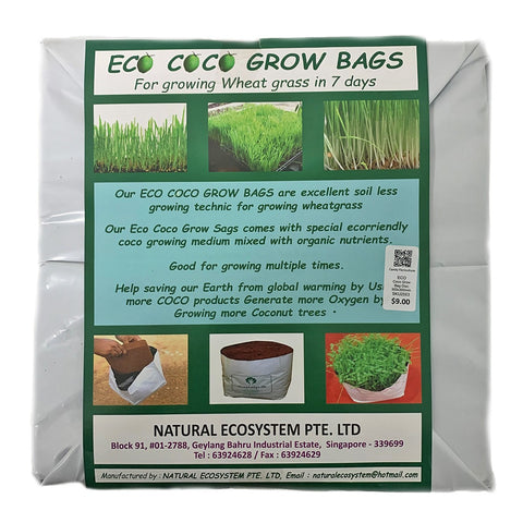 Eco Coco Grow Bag Disk 300mm x 300mm
