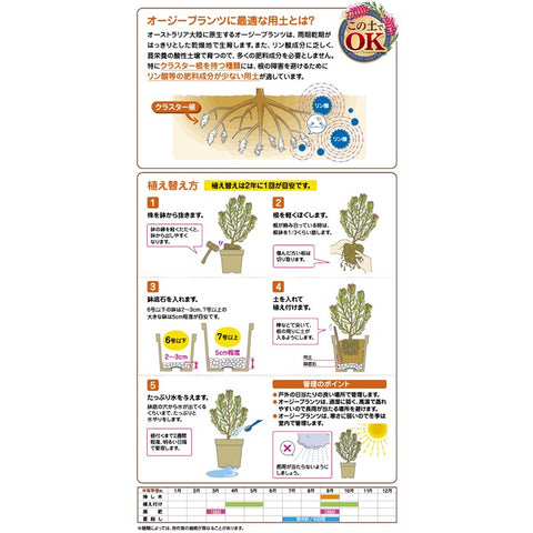 Australian Plant Soil (4008)