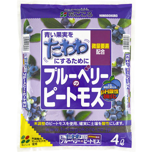 Blueberry Peat Moss (Hanagokoro) Candy Floriculture